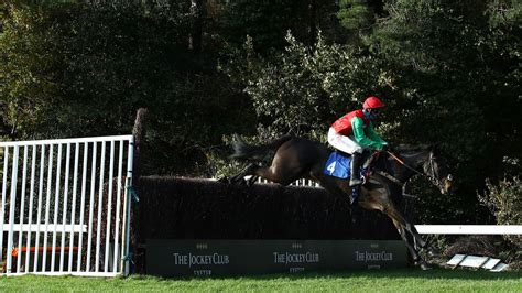 Timeform's guide to the 2021 Bet365 Gold Cup .